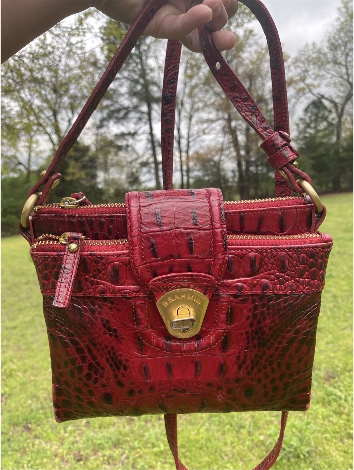Brahmin Melbourne Mojito Croc Embossed Crossbody Red Gold Hardware Wallet Bag